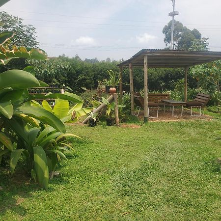 Gaia Eco Hub Bnb Fort Portal Eksteriør bilde
