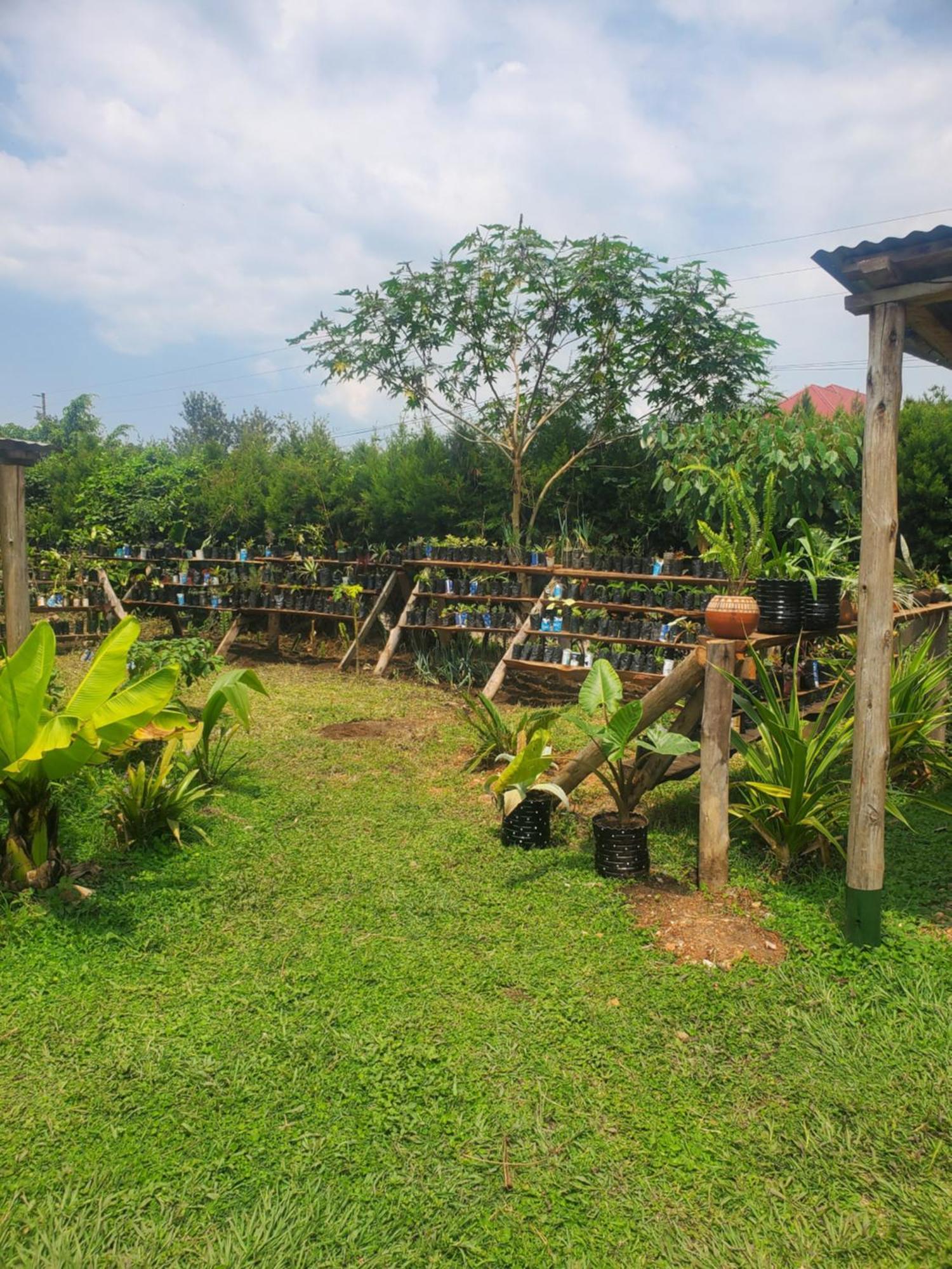 Gaia Eco Hub Bnb Fort Portal Eksteriør bilde
