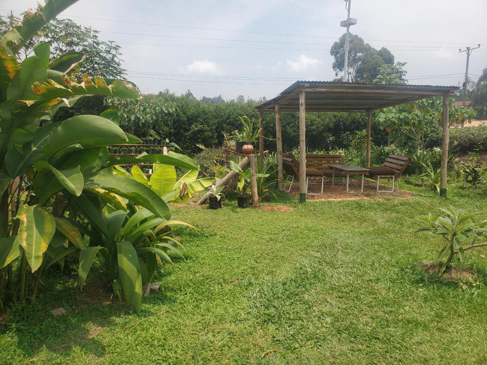 Gaia Eco Hub Bnb Fort Portal Eksteriør bilde