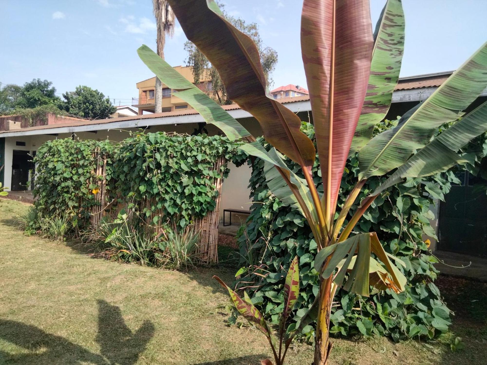Gaia Eco Hub Bnb Fort Portal Eksteriør bilde