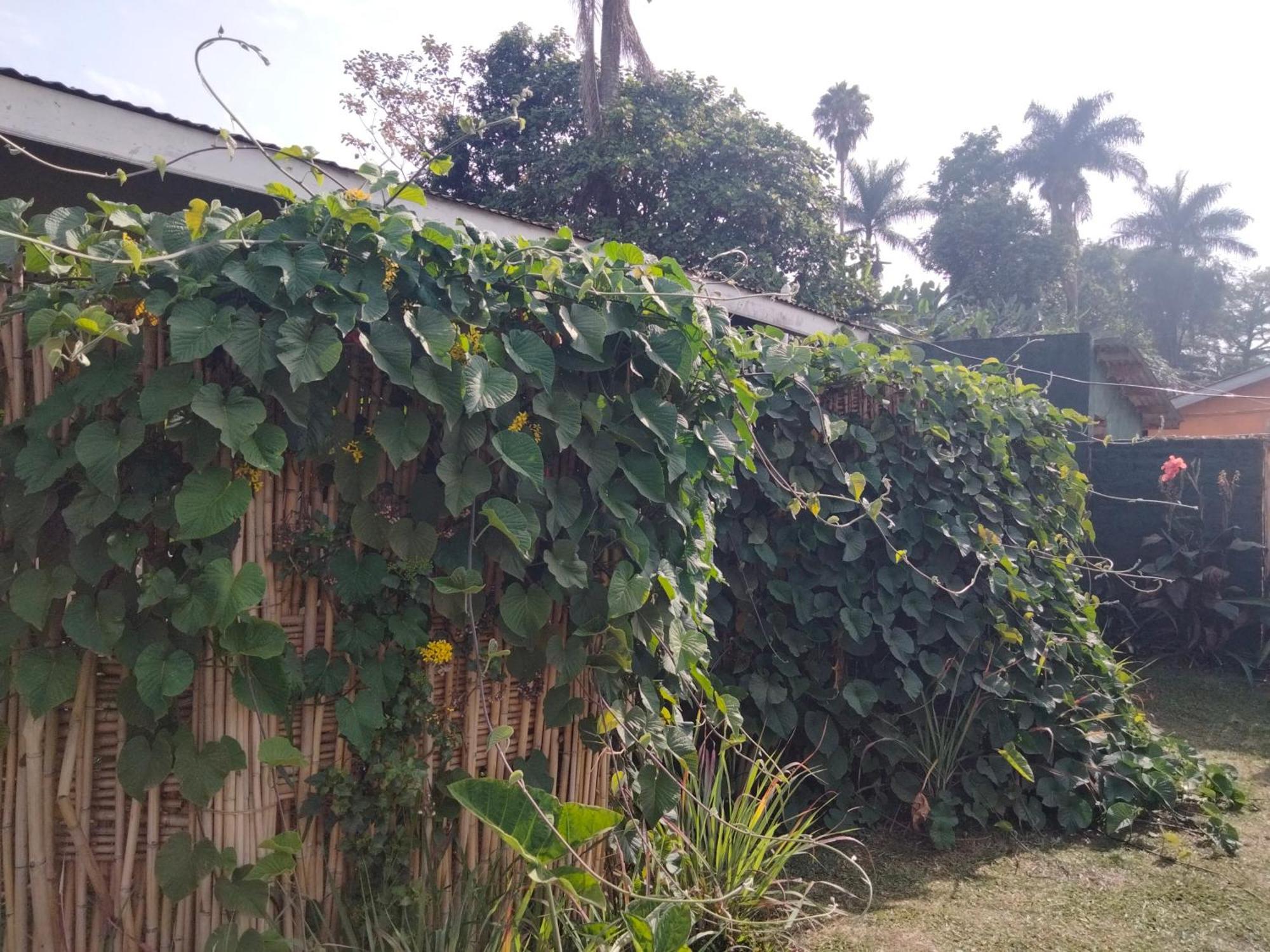 Gaia Eco Hub Bnb Fort Portal Eksteriør bilde